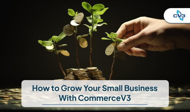 How to Grow Your Small Business With CommerceV3