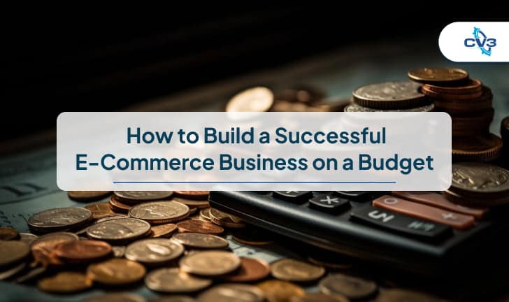 How to Build a Successful eCommerce Business on a Budget