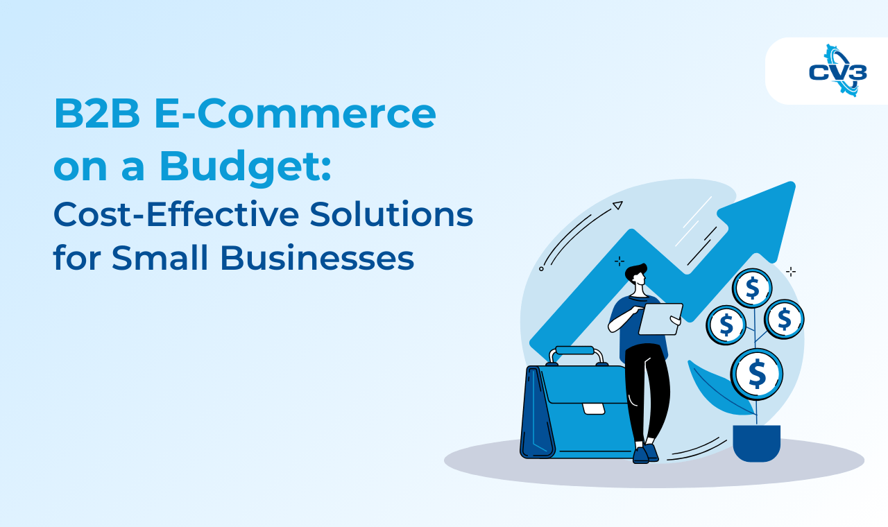 B2B E-Commerce on a Budget: Cost-Effective Solutions for Small Businesses