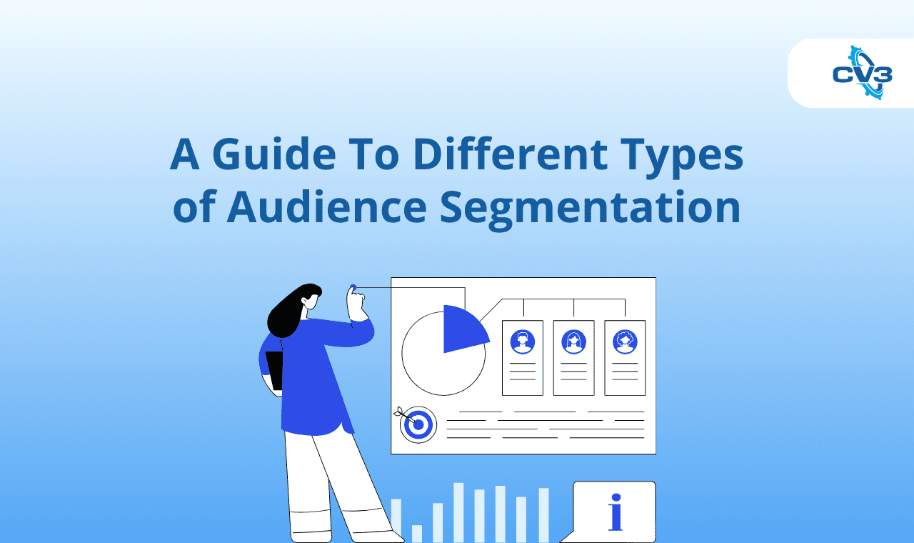 Audience Segmentation