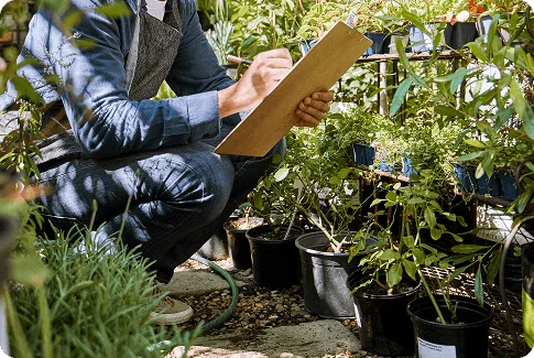 green plants and man with checklist inventory